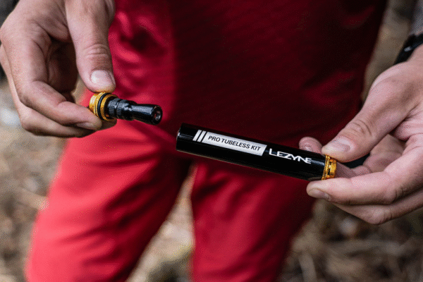 17D2FA66-BCE3-494D-B9D3-5C317A39F4BE